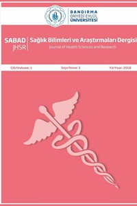 Bandırma Onyedi Eylül Üniversitesi Sağlık Bilimleri ve Araştırmaları Dergisi