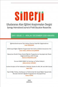 Sinerji Uluslararası Alan Eğitimi Araştırmaları Dergisi