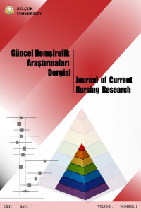 Güncel Hemşirelik Araştırmaları Dergisi