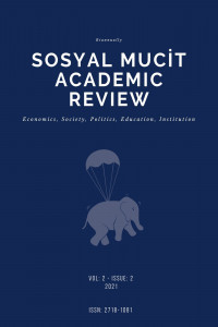 Sosyal Mucit Academic Review