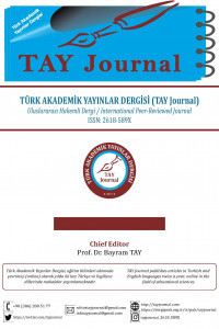 Türk Akademik Yayınlar Dergisi (TAY Journal)