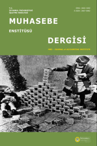 Muhasebe Enstitüsü Dergisi